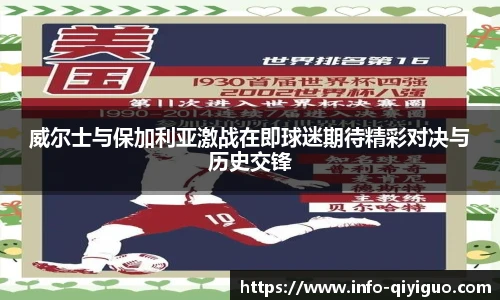 奇异果体育官网入口
